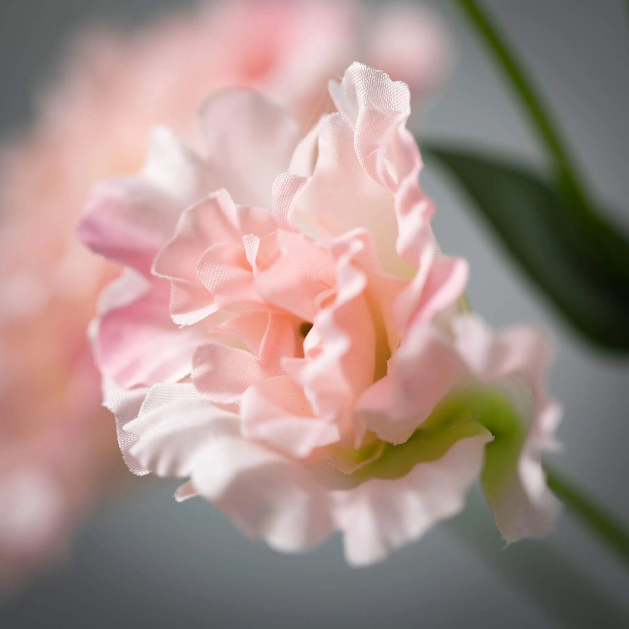 35"H Sullivans Simply Pretty Pink Lisianthus, Multicolored