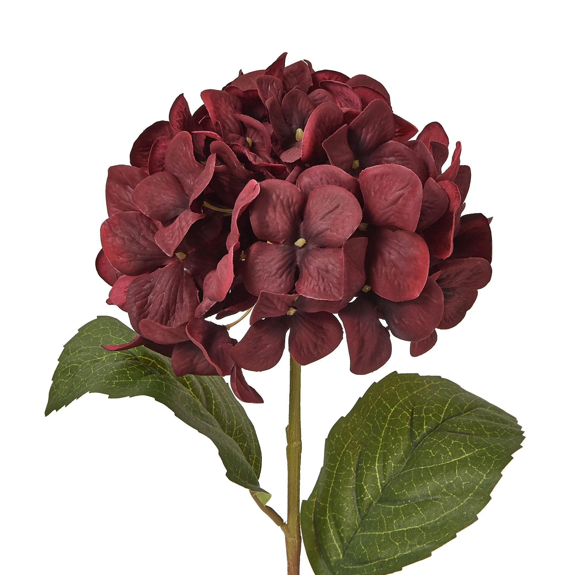 Art Flower Hydrangea Dark Pink