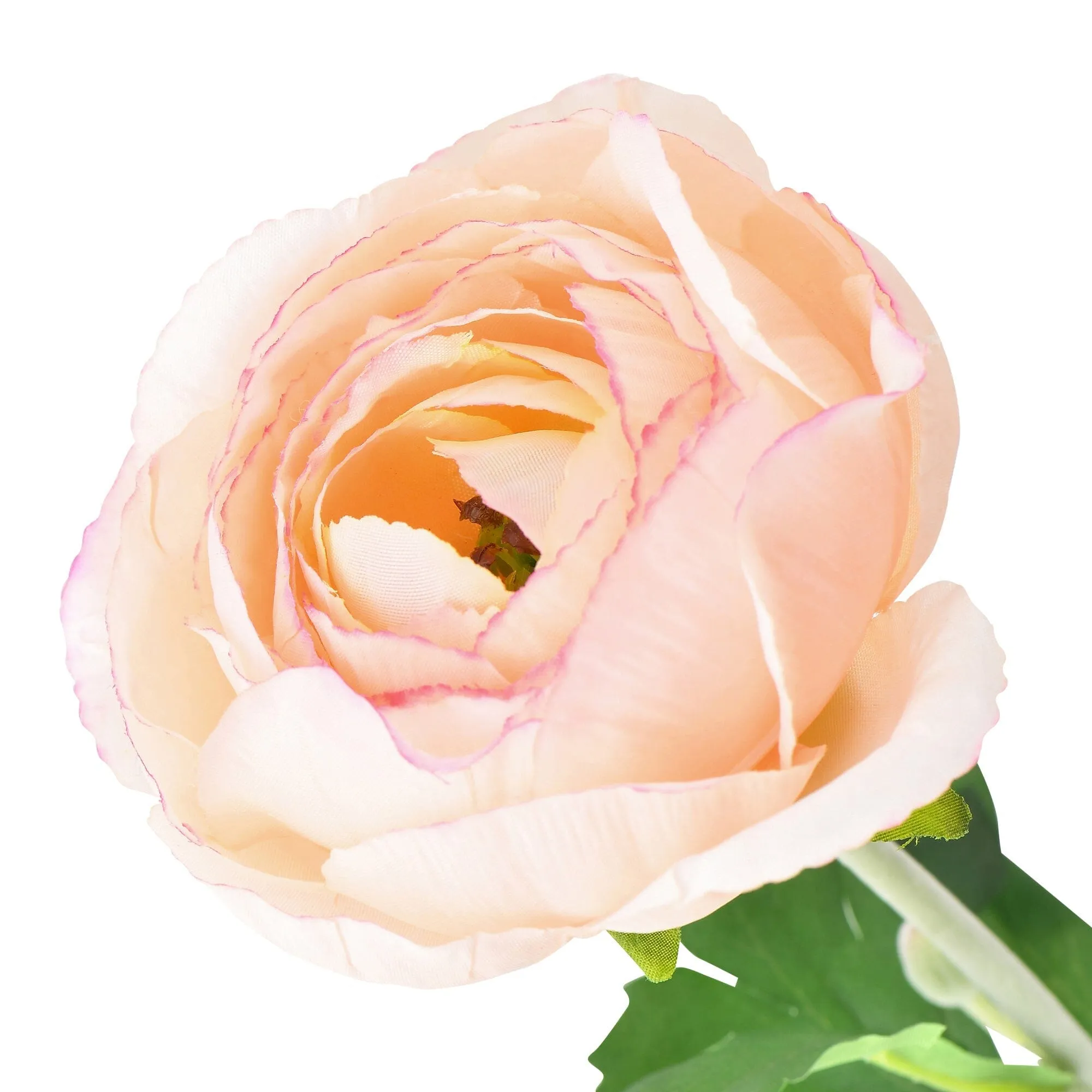 Art Flower Ranunculus L Pink