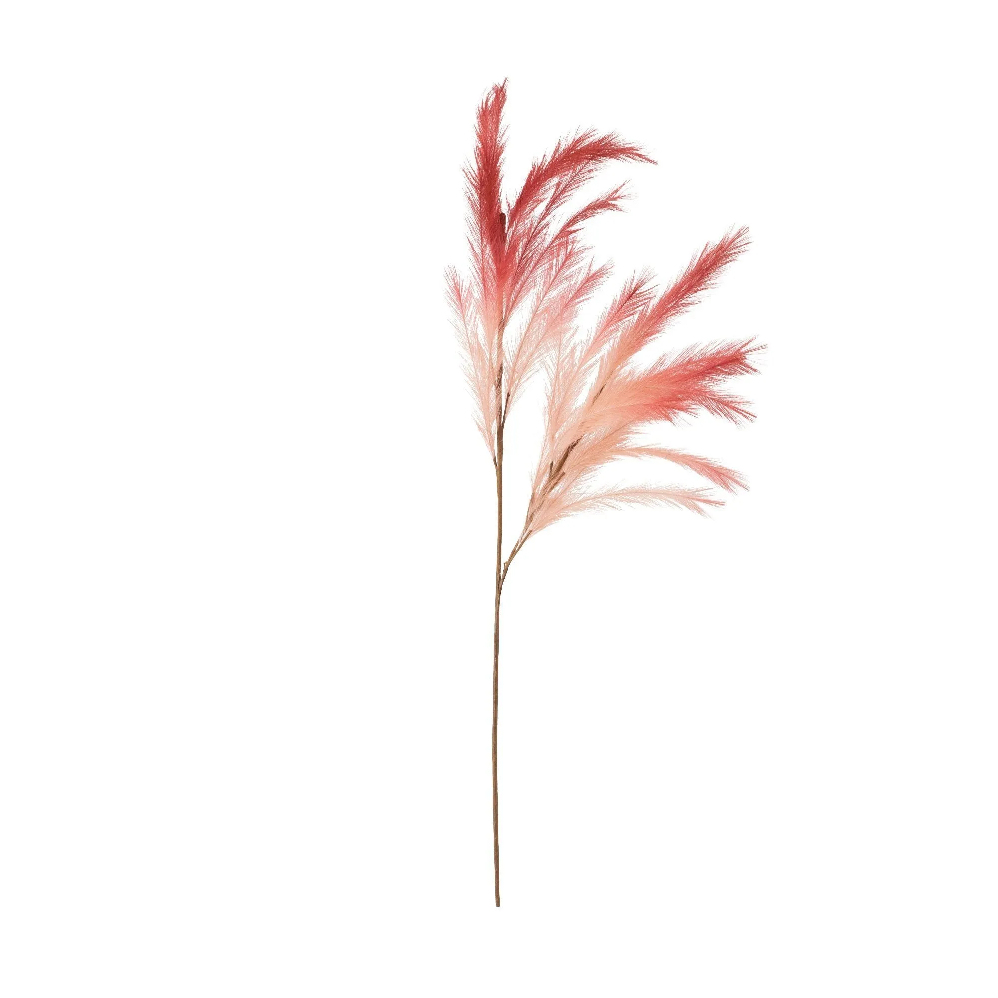 Art Plants Pampas Pink  X Red