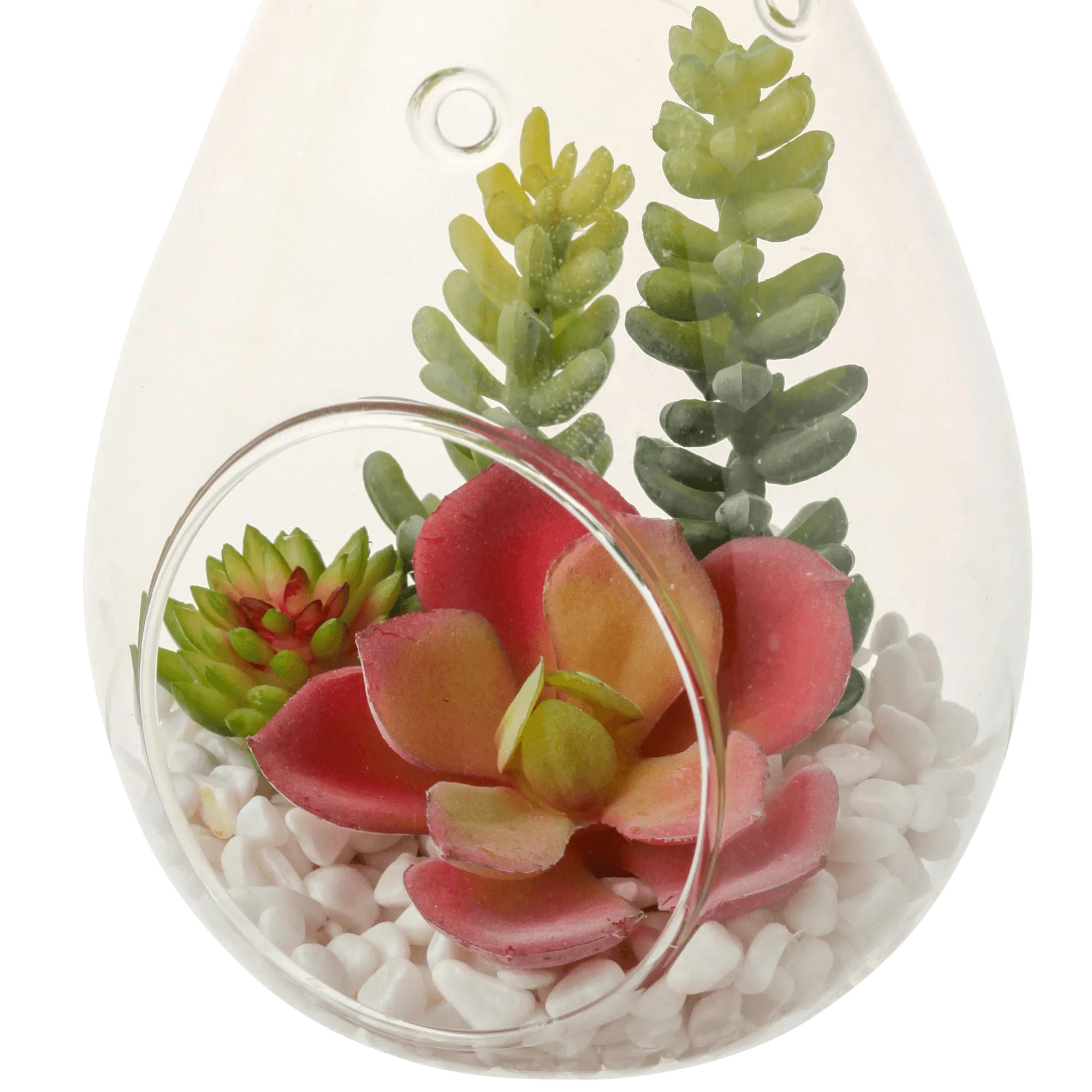 Caro Object Succulent Pot Pink X Green