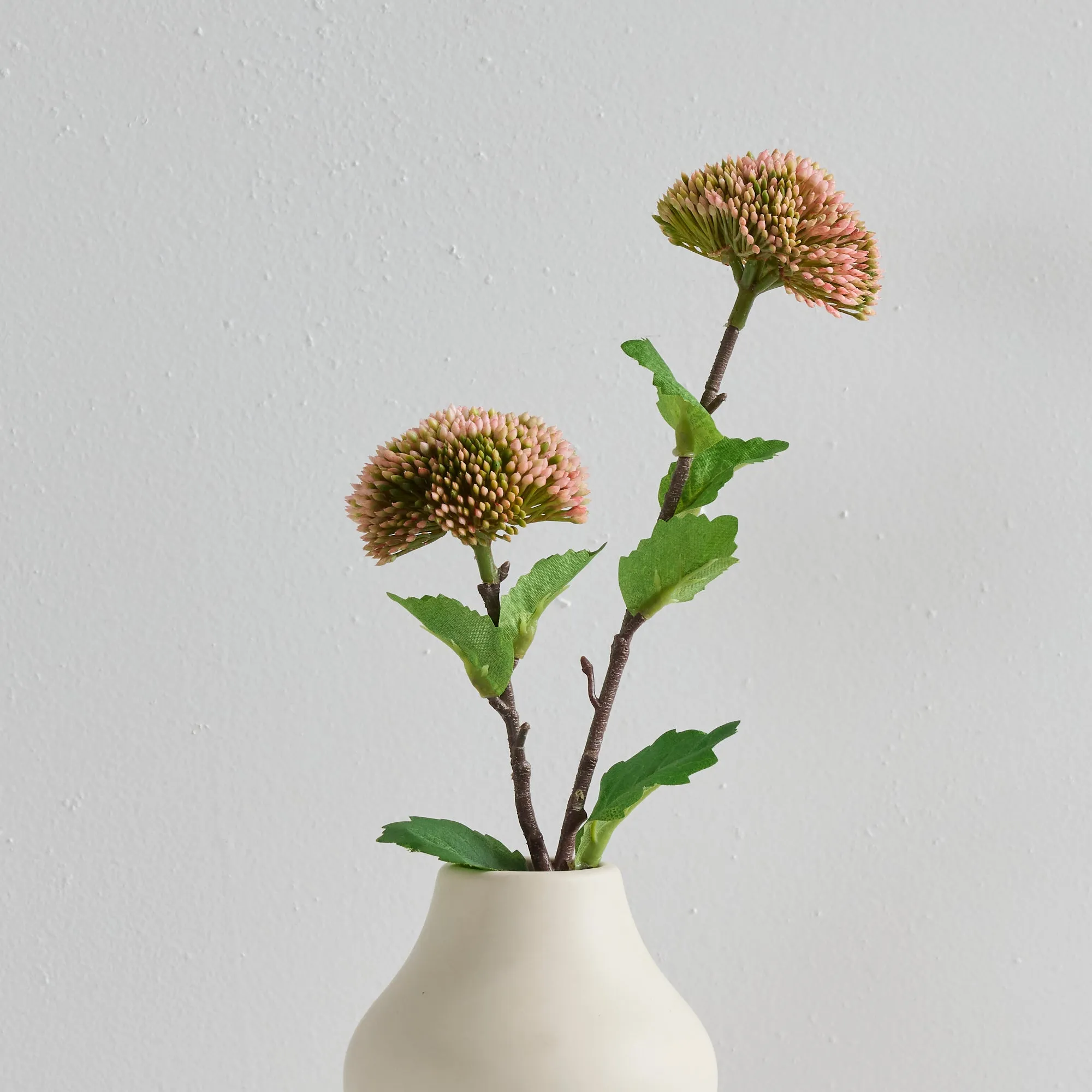 Sedum Stem - Pink